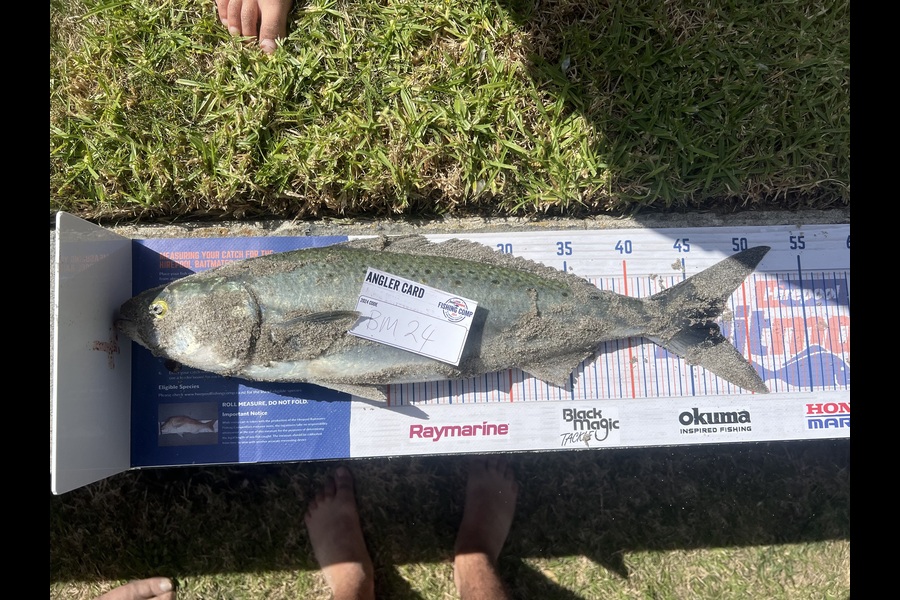 Sam Sargison caught this 47.0cm Kahawai at Bay of Plenty during The Export NZ Fishing Competition