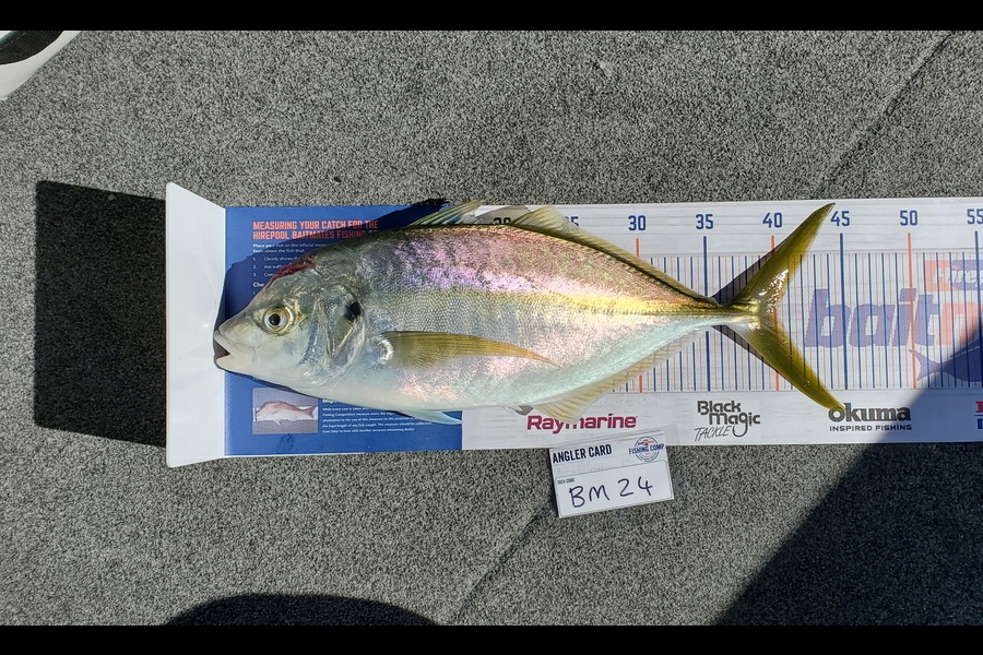 Simon Roberts caught this 40.0cm Trevally at Coromandel during The Export NZ Fishing Competition