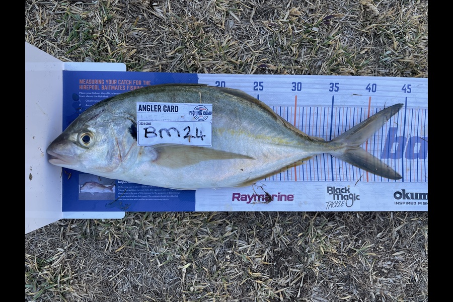 Grant Radovanovich caught this 39.0cm Trevally at Manawatu during The Export NZ Fishing Competition