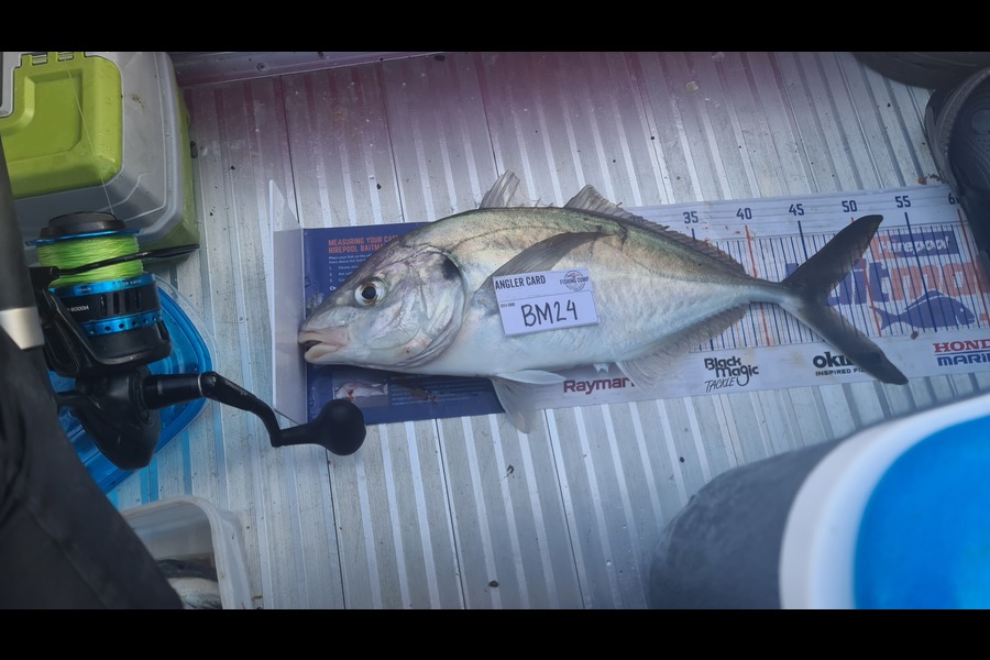 Christopher Gonzales caught this 46.0cm Trevally at Wellington during The Export NZ Fishing Competition