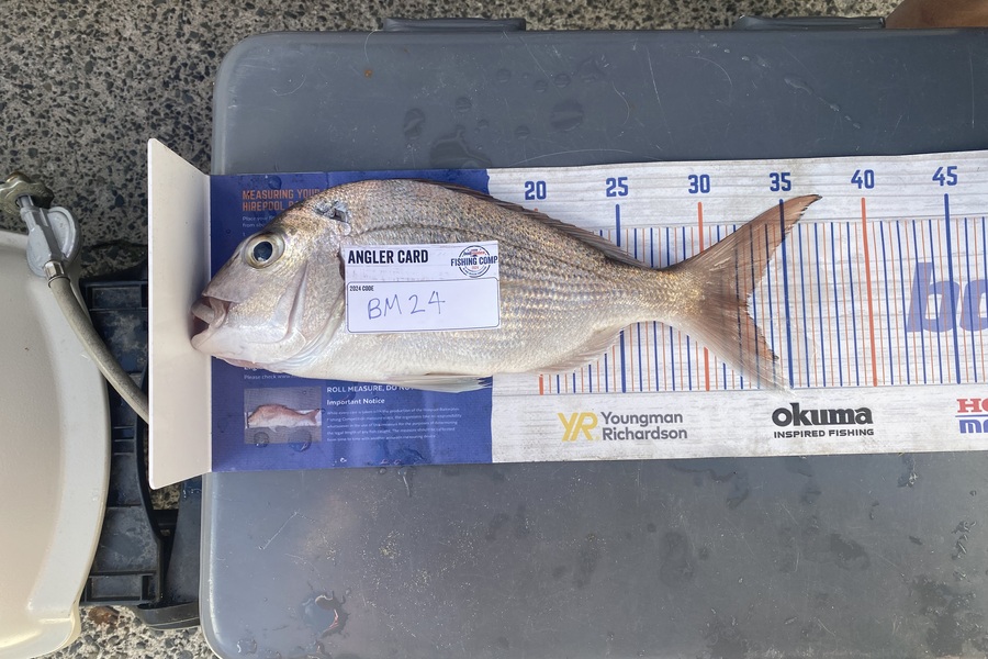 Spencer Dunstone caught this 32.5cm Snapper at Coromandel during The Export NZ Fishing Competition