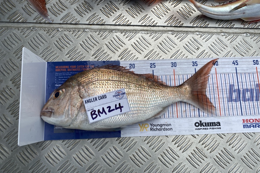 Jack  Runciman  caught this 37cm Snapper at Northland during The Export NZ Fishing Competition