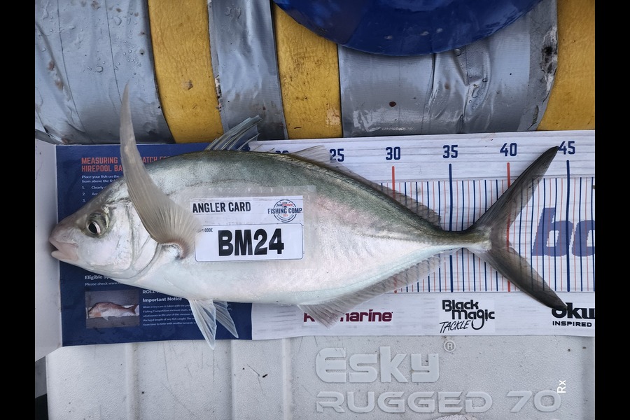 Rex Wilson caught this 40.0cm Trevally at Bay of Plenty during The Export NZ Fishing Competition