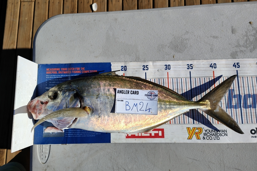 Nikora Wild caught this 40.0cm Trevally at Wellington during The Export NZ Fishing Competition