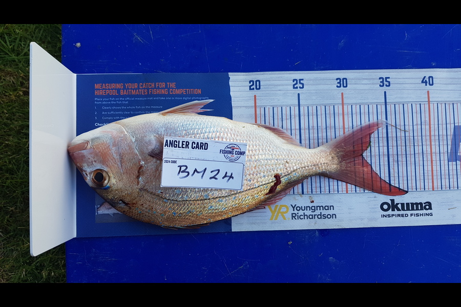 Craig Newland caught this 32.0cm Snapper at Coromandel during The Export NZ Fishing Competition
