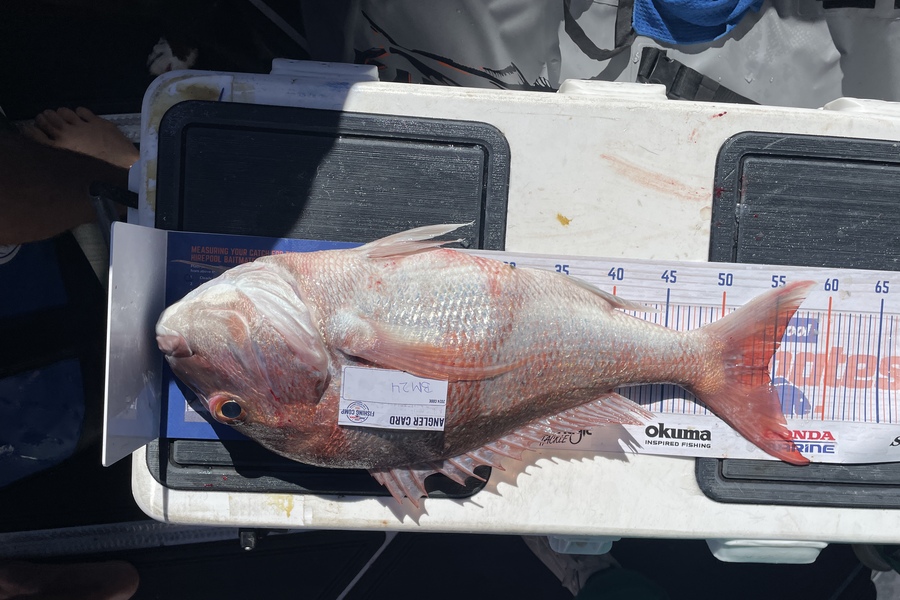 Isabell Zitzelsberger caught this 54.5cm Snapper at Bay of Plenty during The Export NZ Fishing Competition