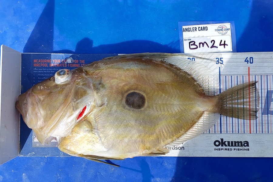 Barry  Howard caught this 40cm John Dory at Auckland during The Export NZ Fishing Competition