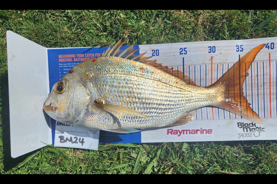 Emma Burnard caught this 35.0cm Snapper at Coromandel during The Export NZ Fishing Competition