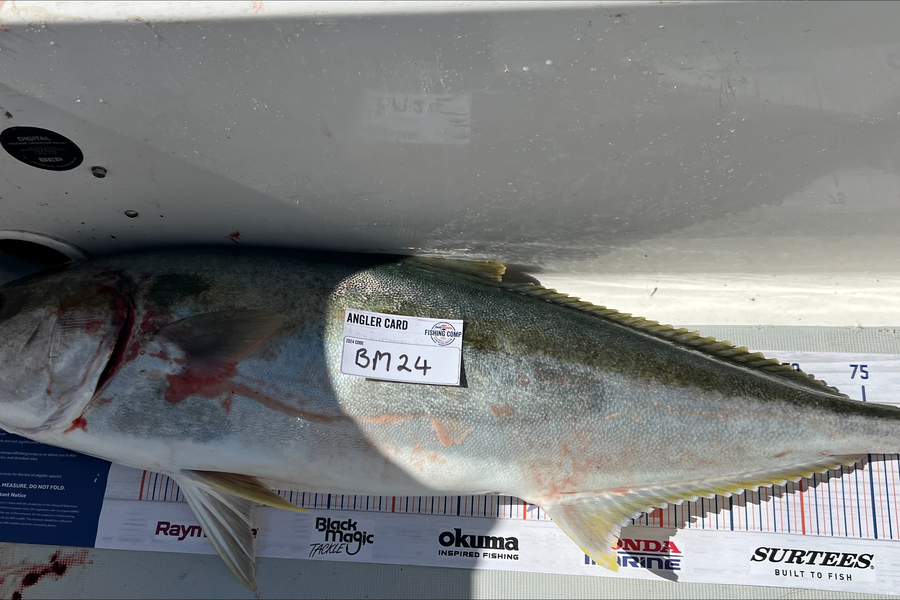 Luke Brayley caught this 84.5cm Kingfish at Bay of Plenty during The Export NZ Fishing Competition
