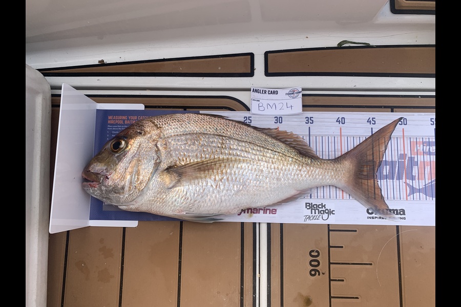 Leisha Burrows caught this 45cm Snapper at Auckland during The Export NZ Fishing Competition