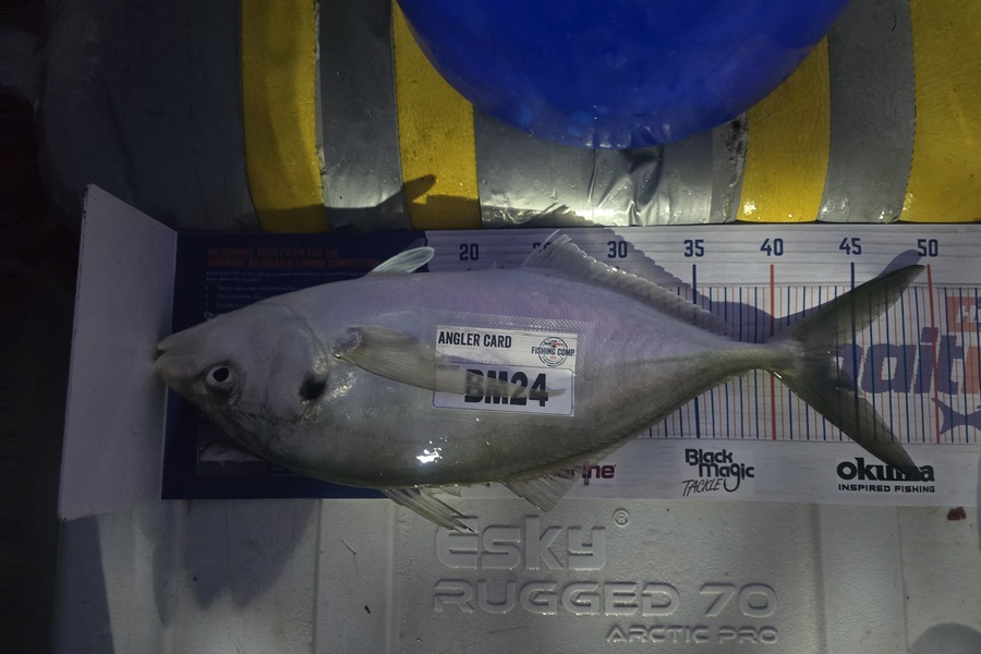 Frazer Hope caught this 43.5cm Trevally at Bay of Plenty during The Export NZ Fishing Competition