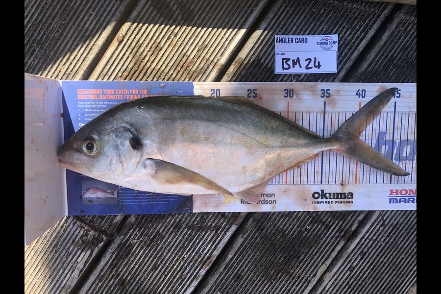 Andrew Froome caught this 40.0cm Trevally at Taranaki during The Export NZ Fishing Competition