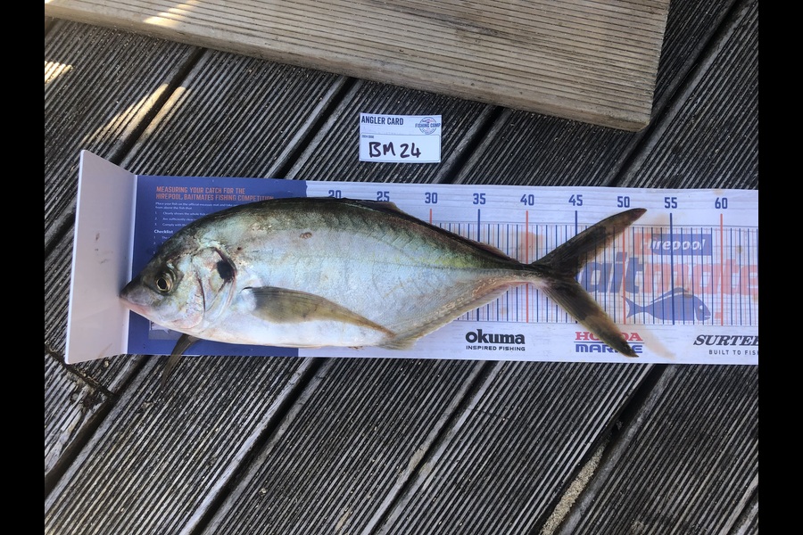 Jordan Froome caught this 44.5cm Trevally at Taranaki during The Export NZ Fishing Competition