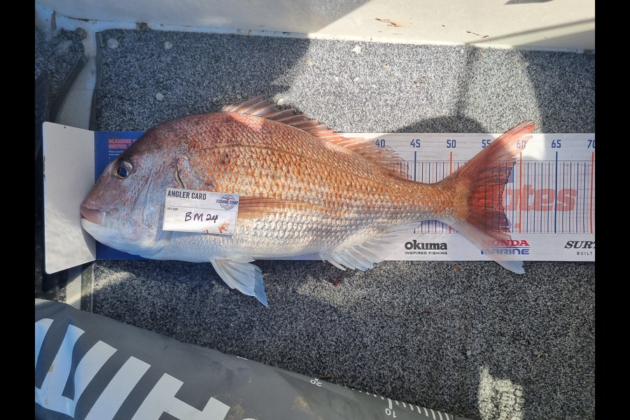 Pita Paul caught this 57.0cm Snapper at Auckland during The Export NZ Fishing Competition