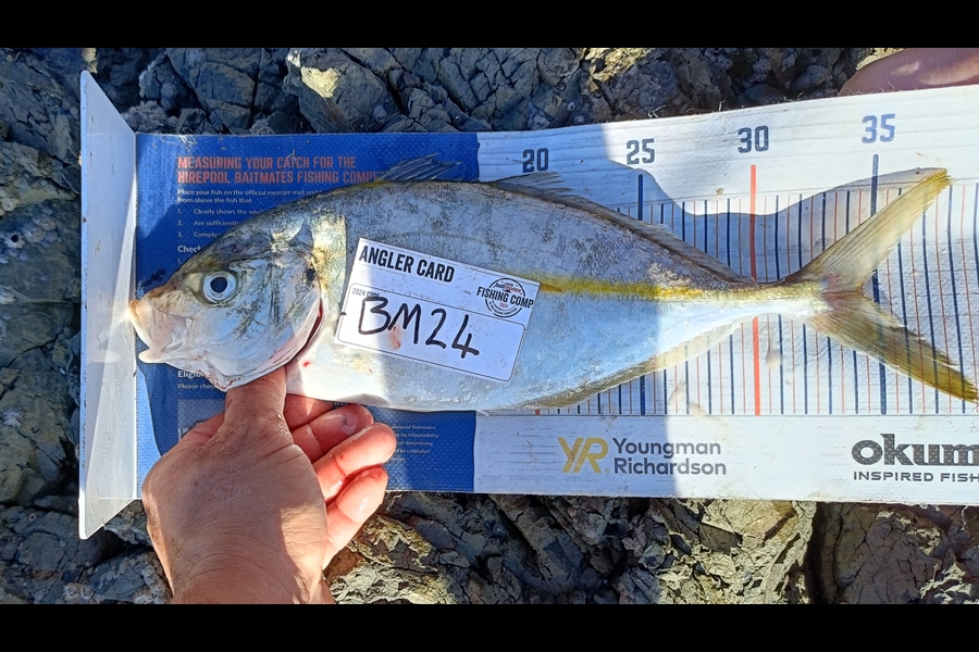Joel Davies caught this 34.5cm Trevally at Northland during The Export NZ Fishing Competition