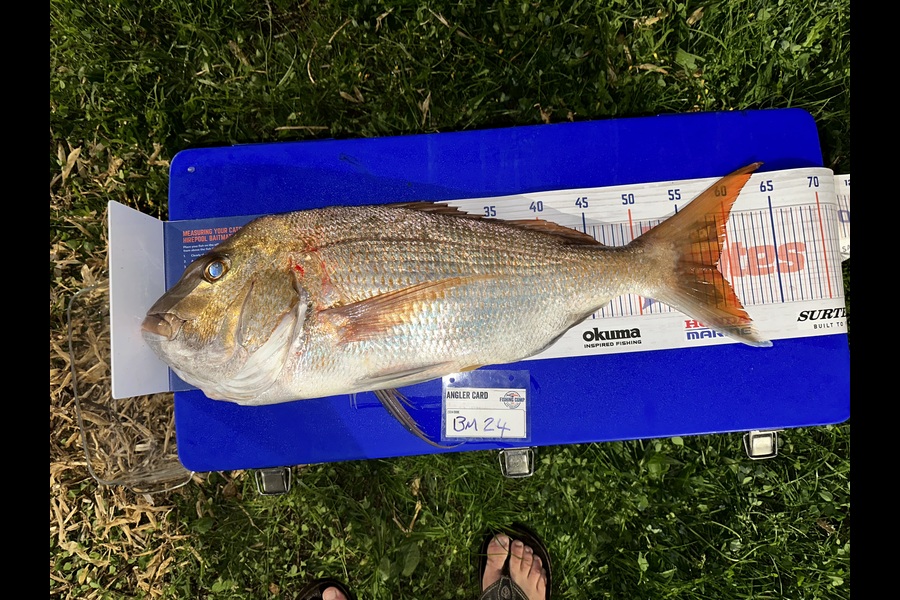 Jake Thorburn caught this 58.5cm Snapper at Coromandel during The Export NZ Fishing Competition