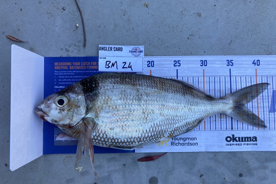 Hudson Murray caught this 37.5cm Tarakihi at Canterbury during The Export NZ Fishing Competition