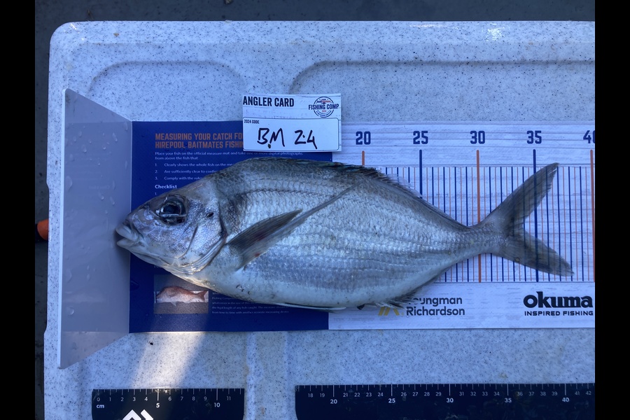 Jason Murray caught this 34.0cm Tarakihi at Canterbury during The Export NZ Fishing Competition