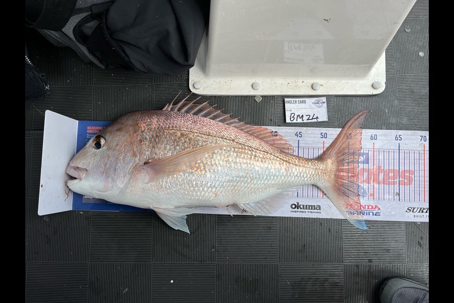 Lee Paetai caught this 57cm Snapper at Coromandel during The Export NZ Fishing Competition