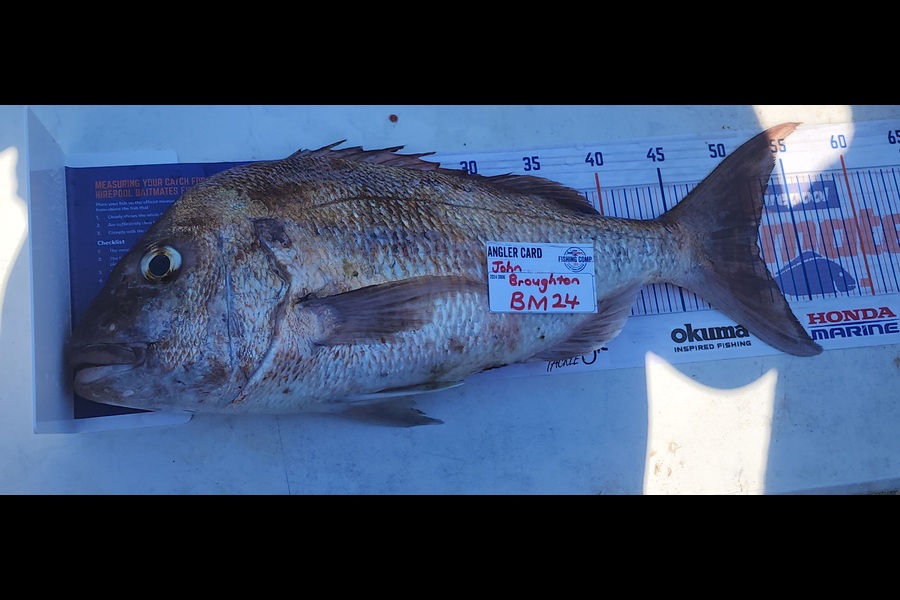John Broughton caught this 51.5cm Snapper at Northland during The Export NZ Fishing Competition