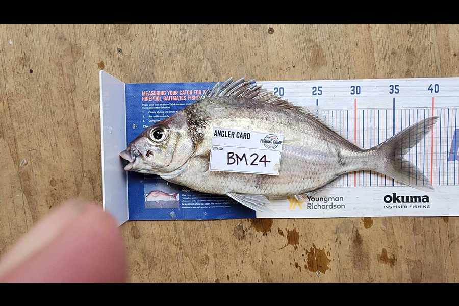 Carolyn Carson caught this 36.0cm Tarakihi at Wellington during The Export NZ Fishing Competition