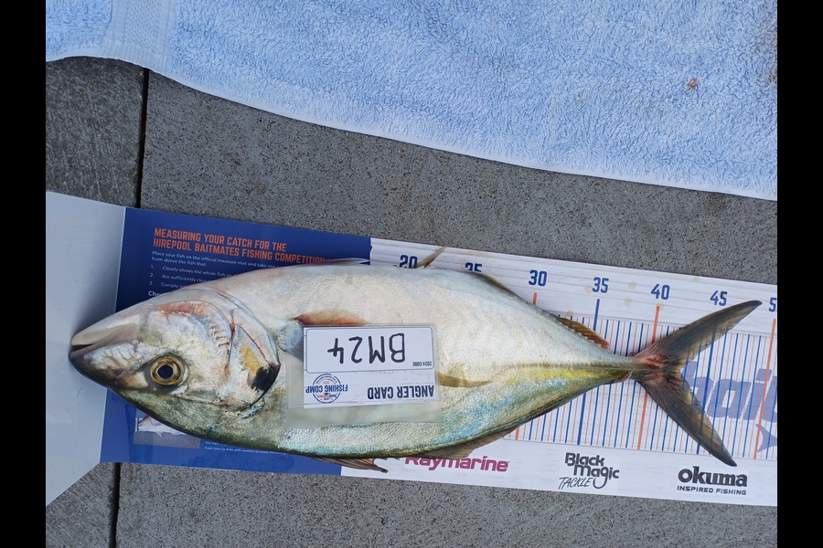 Sheila Jackson caught this 42.5cm Trevally at Nelson/Marlborough during The Export NZ Fishing Competition