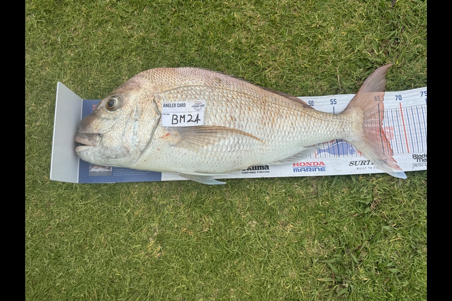 Cameron Coxhead caught this 65.5cm Snapper at Coromandel during The Export NZ Fishing Competition
