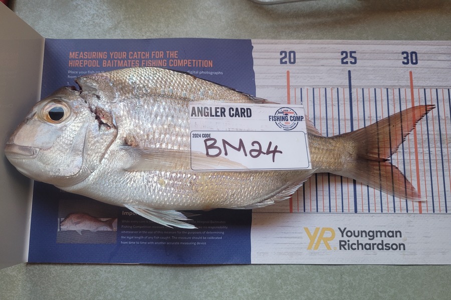 Ryder Huskisson-Morris caught this 28.0cm Snapper at Auckland during The Export NZ Fishing Competition