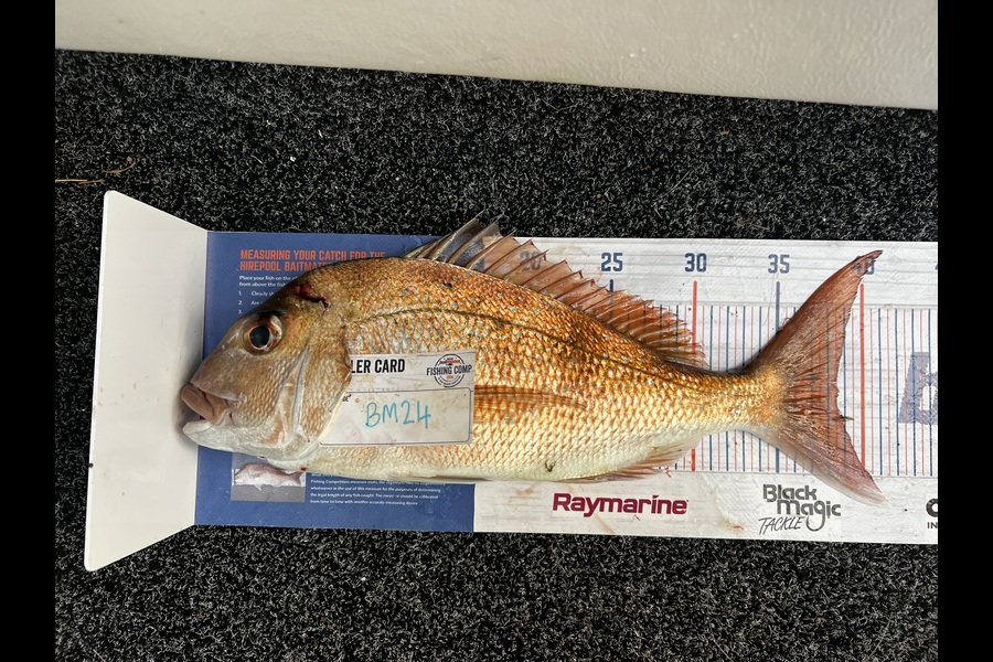 Jayden Buckingham caught this 38.5cm Snapper at Auckland during The Export NZ Fishing Competition