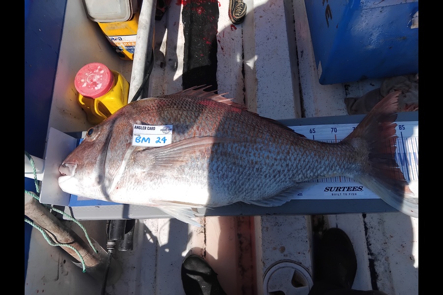 Geoff Preston caught this 82.5cm Snapper at Taranaki during The Export NZ Fishing Competition
