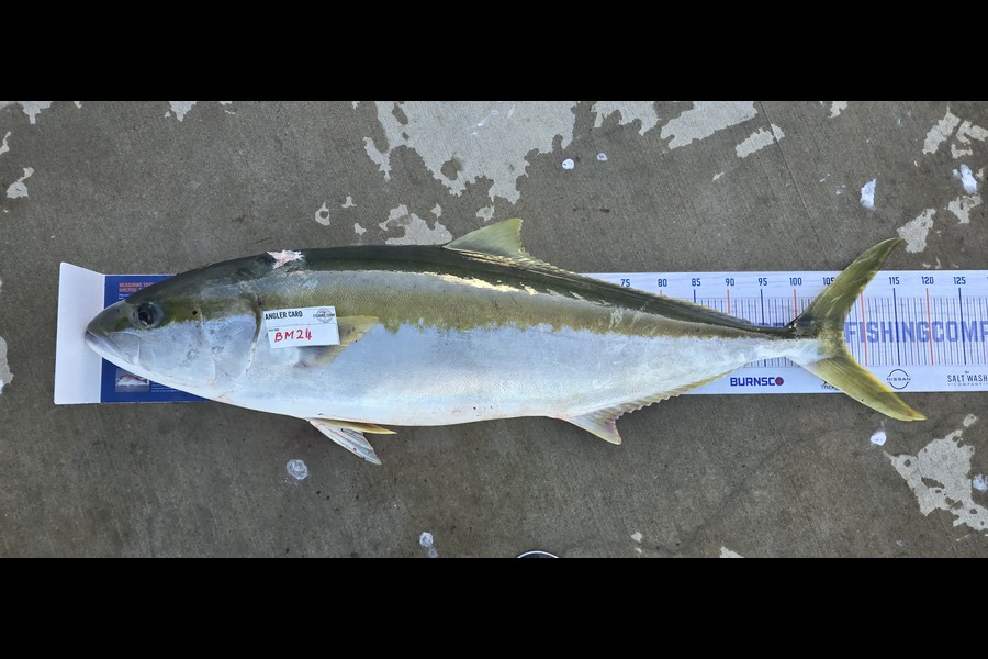 Rochelle Dunn caught this 107.0cm Kingfish at Northland during The Export NZ Fishing Competition