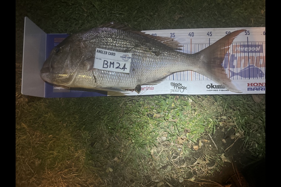 Cameron Coxhead caught this 48.0cm Snapper at Coromandel during The Export NZ Fishing Competition