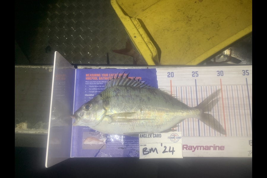 Josh Bolton caught this 27.5cm Tarakihi at Wellington during The Export NZ Fishing Competition
