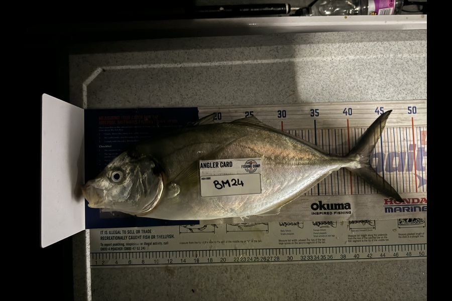 Melanie Bethell caught this 42.5cm Trevally at Bay of Plenty during The Export NZ Fishing Competition
