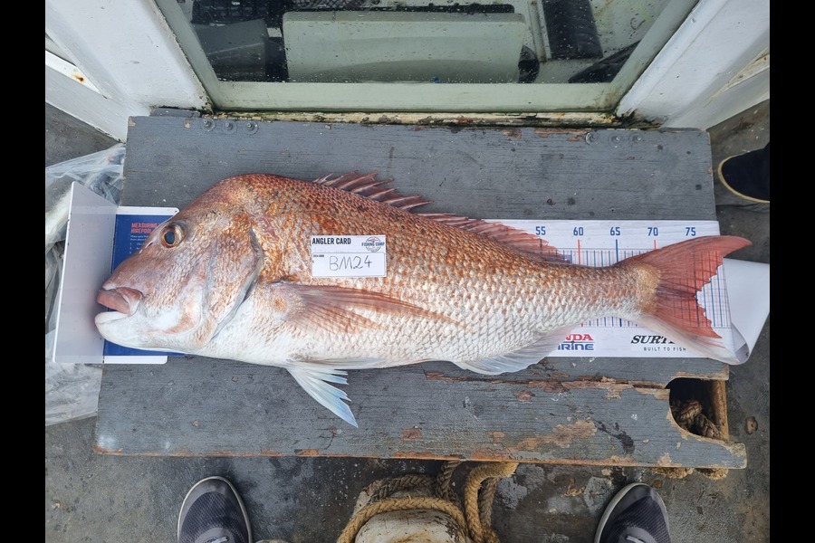 Alex Filyaev caught this 74.5cm Snapper at Auckland during The Export NZ Fishing Competition