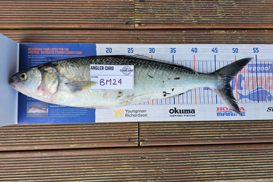 Troy Rosson caught this 48cm Kahawai at Wellington during The Export NZ Fishing Competition