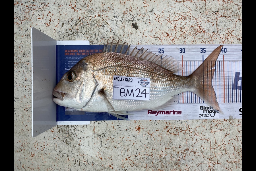 Astrid Joy caught this 37.0cm Snapper at Coromandel during The Export NZ Fishing Competition