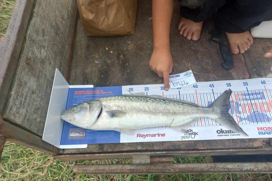 Davey Huata caught this 47.5cm Kahawai at Hawkes Bay during The Export NZ Fishing Competition