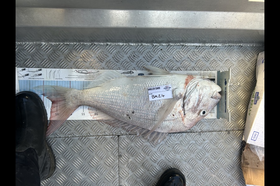 Shane Harwood caught this 67.0cm Snapper at Nelson/Marlborough during The Export NZ Fishing Competition