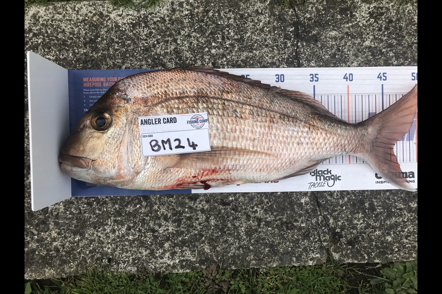 Tereza Pitt caught this 46.5cm Snapper at Coromandel during The Export NZ Fishing Competition