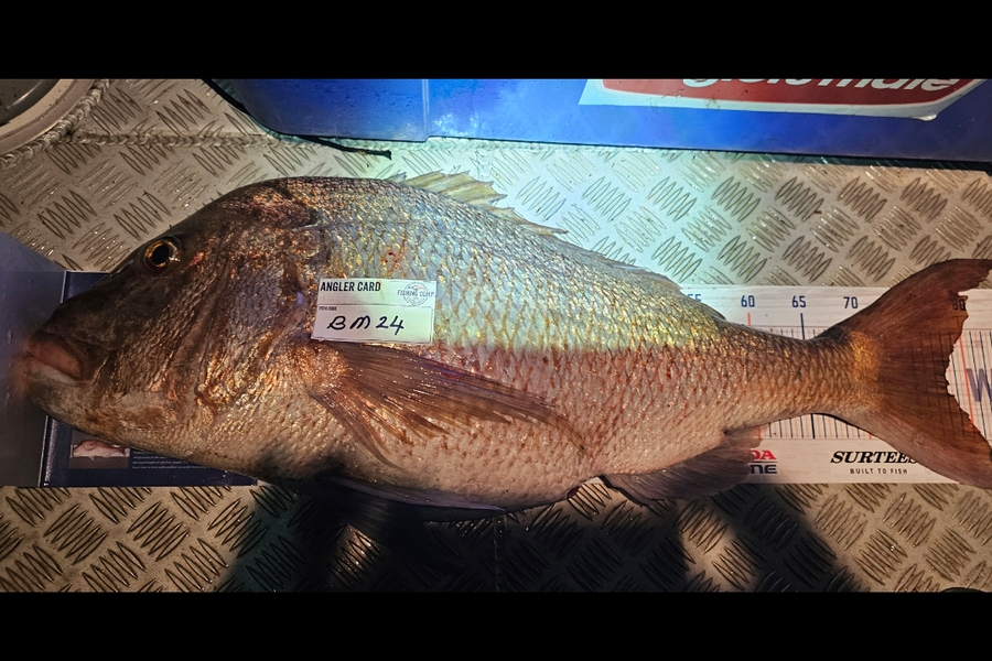 Tony Wong-Kam caught this 78.0cm Snapper at Auckland during The Export NZ Fishing Competition