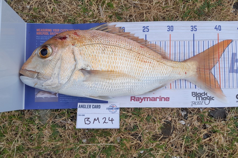 Calvin Smith caught this 38.0cm Snapper at Coromandel during The Export NZ Fishing Competition