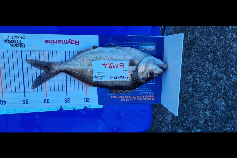 Shane  Brown  caught this 30.0cm Tarakihi at Manawatu during The Export NZ Fishing Competition