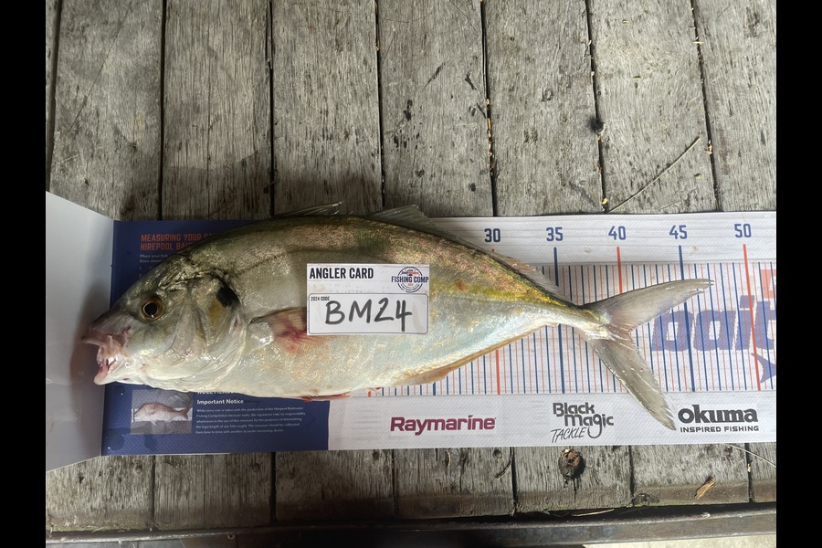 Nick van der Veen caught this 40.0cm Trevally at Wellington during The Export NZ Fishing Competition