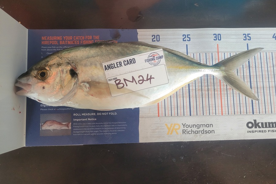Ryder Huskisson-Morris caught this 32.0cm Trevally at Auckland during The Export NZ Fishing Competition