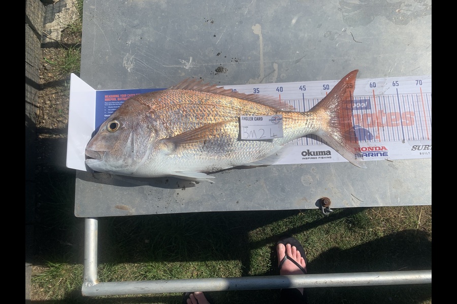 Holly Van Den Brand caught this 54.5cm Snapper at Taranaki during The Export NZ Fishing Competition