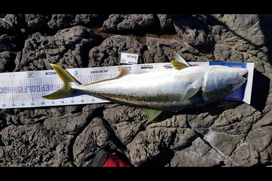 Carlana White caught this 88cm Kingfish at East Cape during The Export NZ Fishing Competition