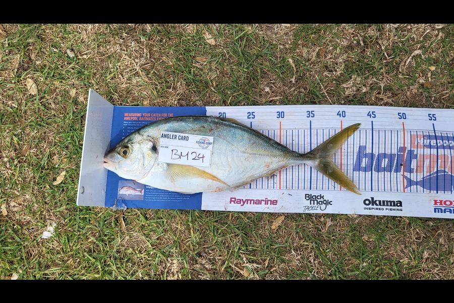 Lucien Tejada caught this 38.0cm Trevally at Coromandel during The Export NZ Fishing Competition