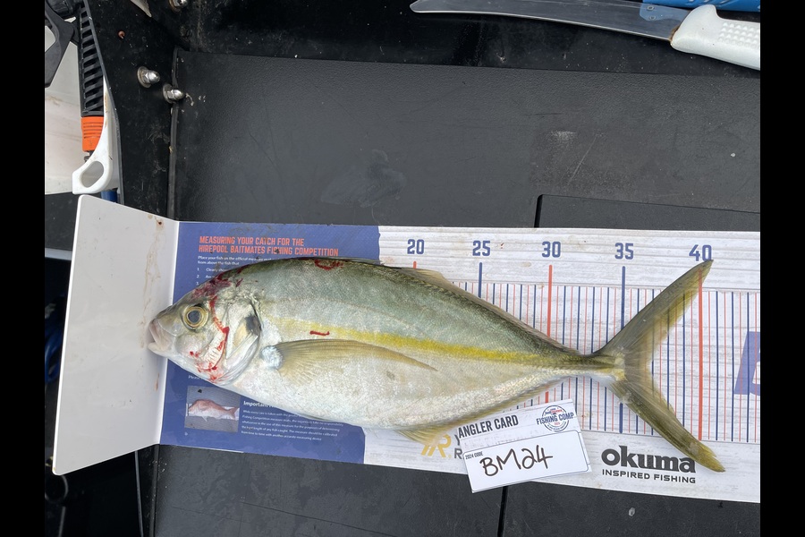 Liz van der Westhuizen caught this 36.5cm Trevally at Bay of Plenty during The Export NZ Fishing Competition