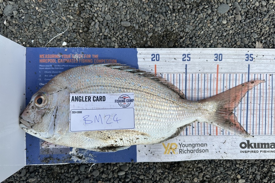 Braxton Kitching caught this 32.5cm Snapper at Hawkes Bay during The Export NZ Fishing Competition
